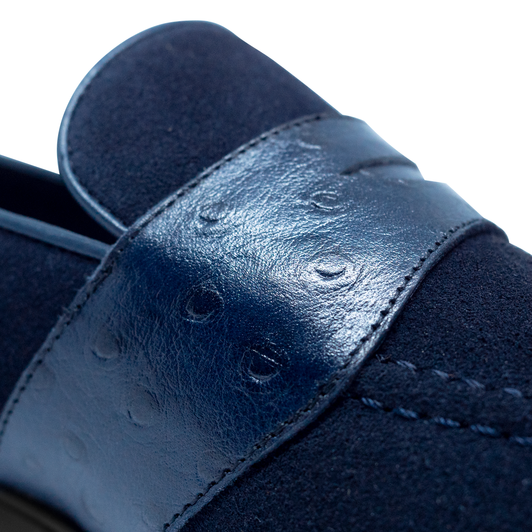 Anderton Bleu